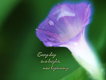 Everyday is a bright, new beginning!