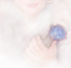 一朵珍貴的藍玫瑰, 永遠的藍玫瑰