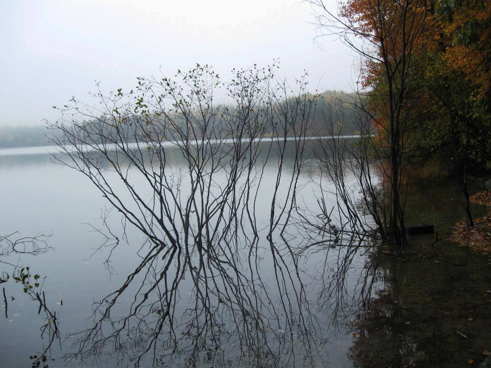 �ߵǺ�--2