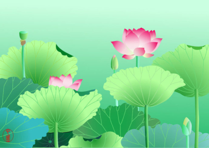 Pink Lotus.jpg
