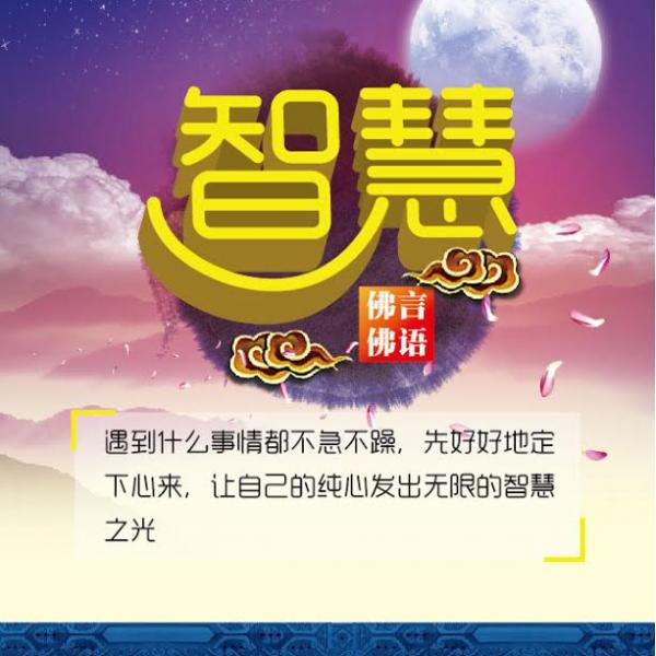 1445557189549189.jpg unnamed-4.jpg