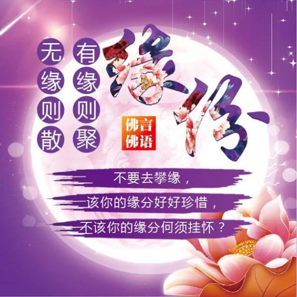 1445643751961104.jpg unnamed-9.jpg