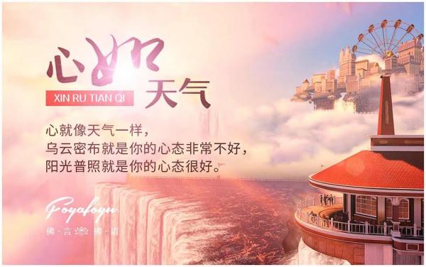 1446415822796323.jpg 11.jpg