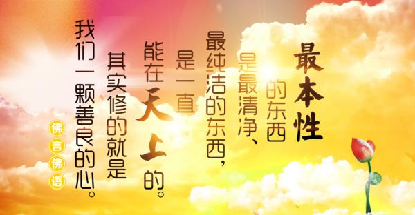 1446418744823437.jpg 1510151916.jpg