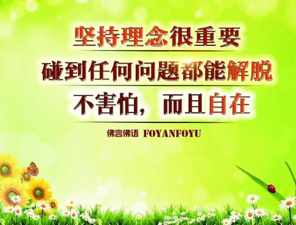 1446684759262146.jpg 12.jpg