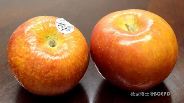 Fuji Apple.jpg