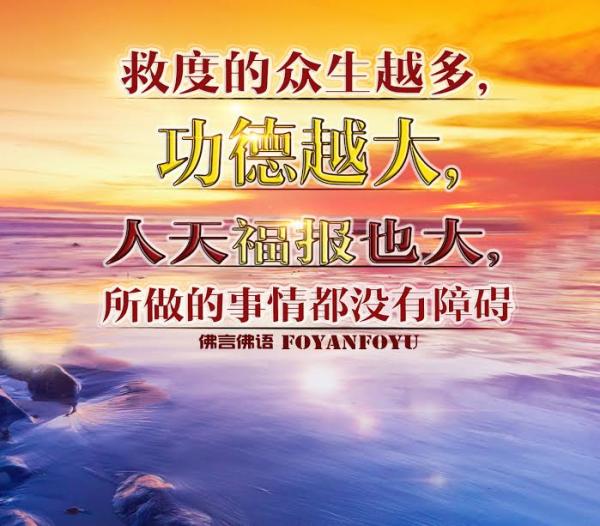 1447467750915135.jpg 7.jpg