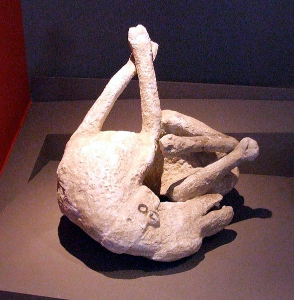 800px-Pompeji_getöteter_Hund.jpg