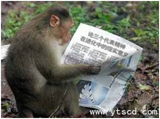 monkey reading.JPG