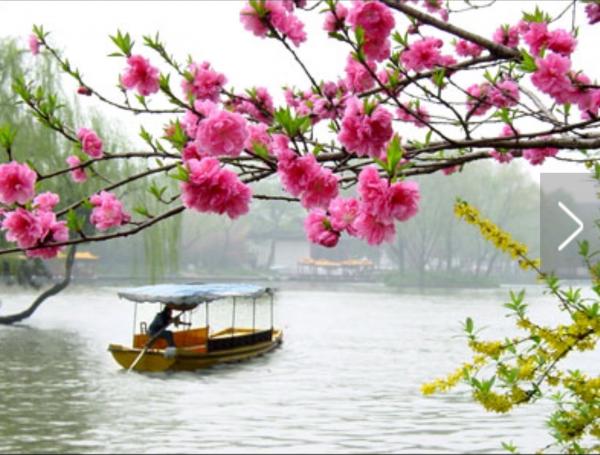 1465564404135484.jpeg image.jpeg