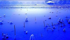 1465654063275996.jpg IMG_0506.jpg