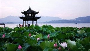 1465654600319348.jpg IMG_0522.jpg