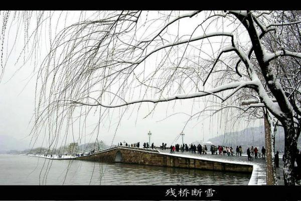 1465823592348094.jpg 17802063_4.jpg