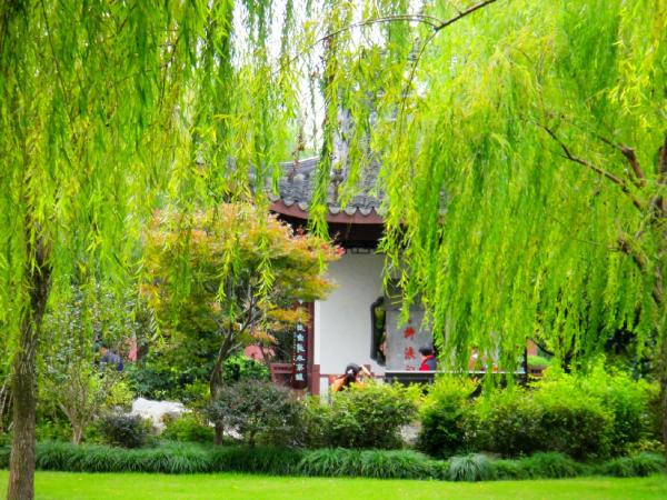 1465992391234590.jpeg image.jpeg