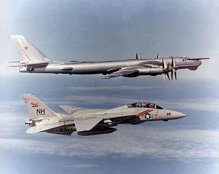 450px-F-14_Tomcat_VF-114_escorting_TU-95_Bear.jpg