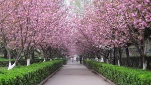 1488429366279042.jpg Jiaotong_7.jpg