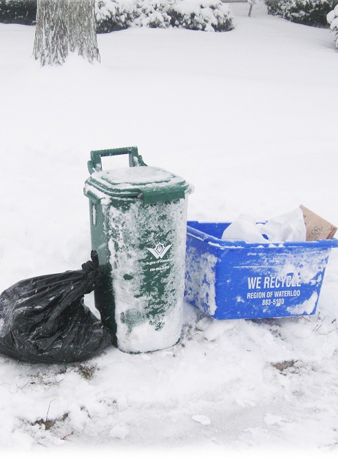 winter_collection_containers.jpg