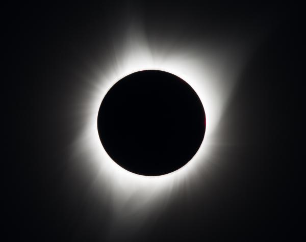 madras-solar-eclipse-2017.jpg