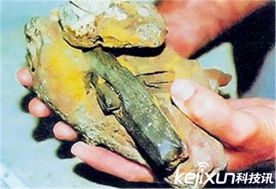 meizhjinshu.jpg
