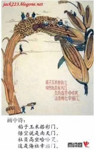 92F52BA3-DE6E-4FA9-A347-F68FA287CA6F.JPG