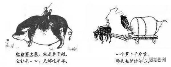 586E6DBE-43EF-4D4F-B4AA-5639B35D3B7D.JPG