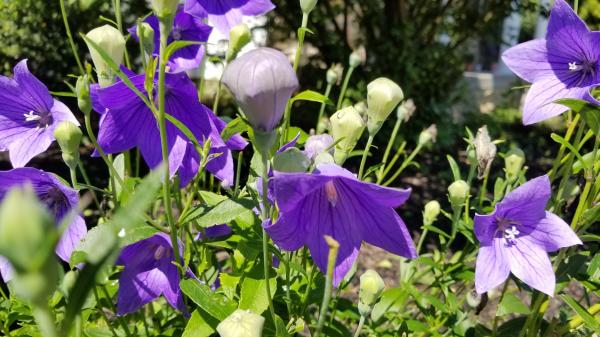 20180804_110619_resized.jpg