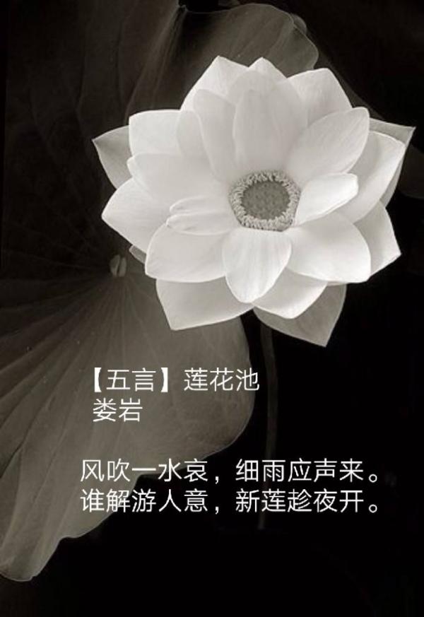 001v86i0zy7sZDJPXYI38&690.jpg