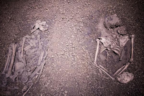 Bones_of_the_sacrificed_-_Nanjing_Museum.jpg