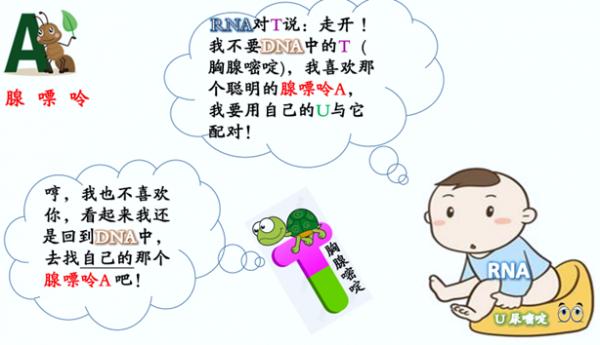 1567750217809954.png image.png