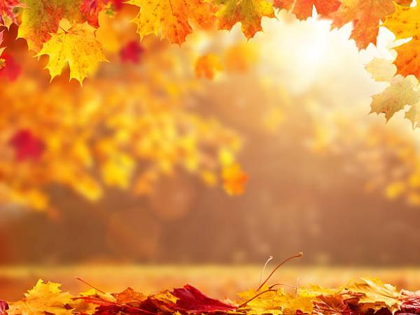 background-images-autumn-1.jpg