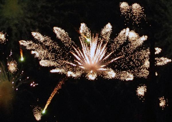 04-06-12_ Fireworks-10001.JPG