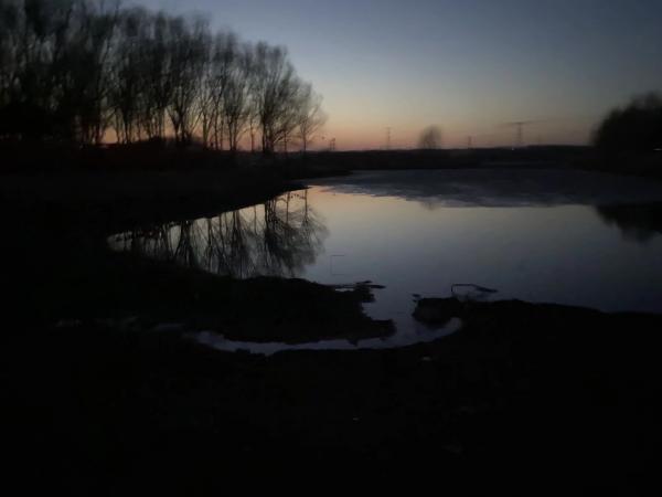 1585716220044.jpeg