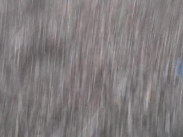 1585716417548.jpeg