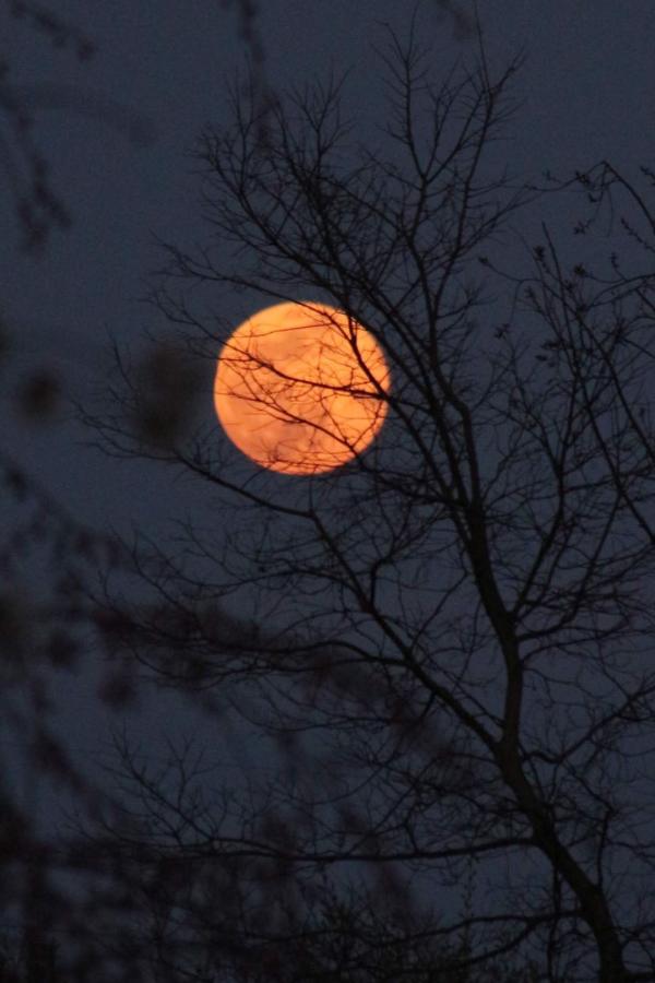 blood moon-16.jpg