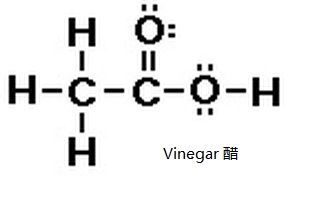 Vinegar -1.jpg