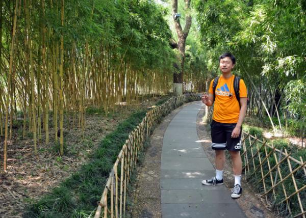 2019-07-22_A Bamboo-Lined Path Leading to Serenity-30001.JPG