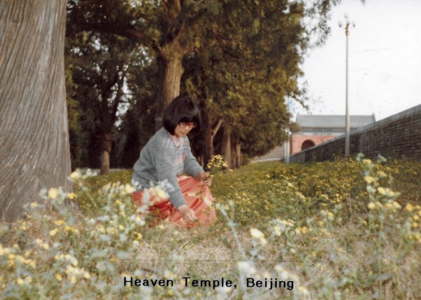 1987-05-04_Temple of Heaven_A Path Shaded by Ancient Cypresses0001.JPG