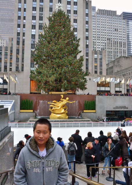 2014-12-17_Christmas Tree-10001.JPG