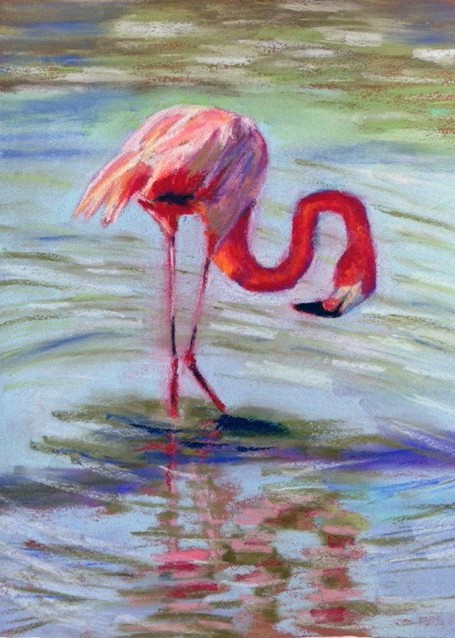 06-06-13_ Flamingo-10a00010001.JPG