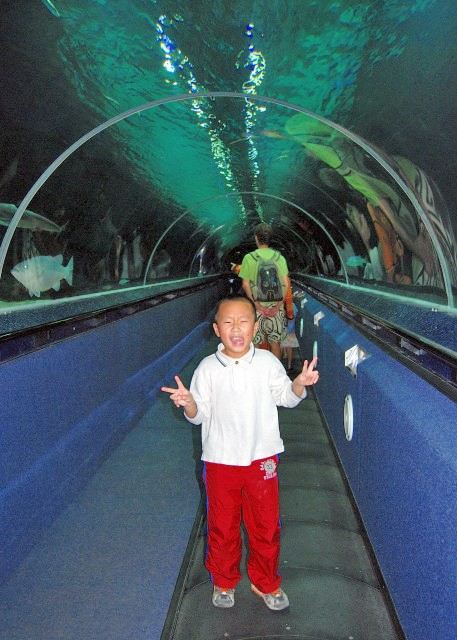 12-18-09_ Riding through the Plexiglas Tube @ Oceanarium of Kelly Tarlton's Underwater World.JPG