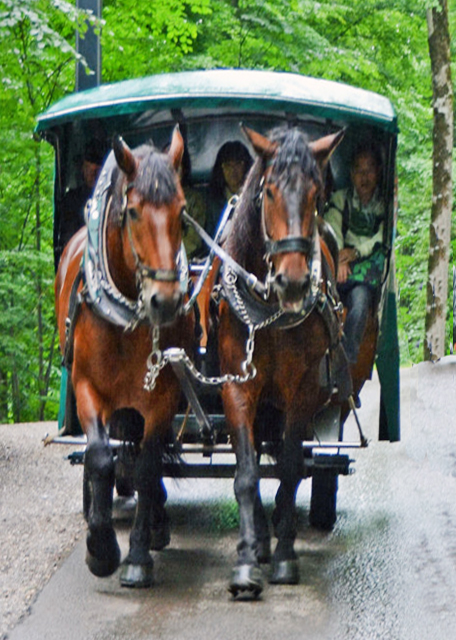 1746737158490810.jpg 2017-07-02_Neuschwansteinstraße 新天鵝堡大街0001.JPG