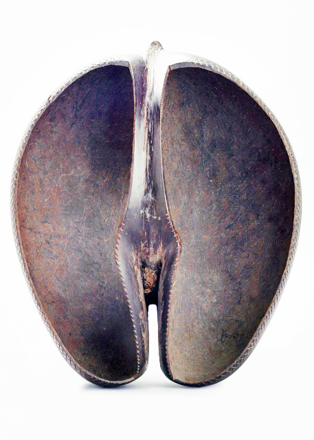 1751918281618595.jpg 2013-12-23_Coco-de-Mer-Bowl_Beautiful Buttocks 海椰子果·美丽的臀部0001.JPG