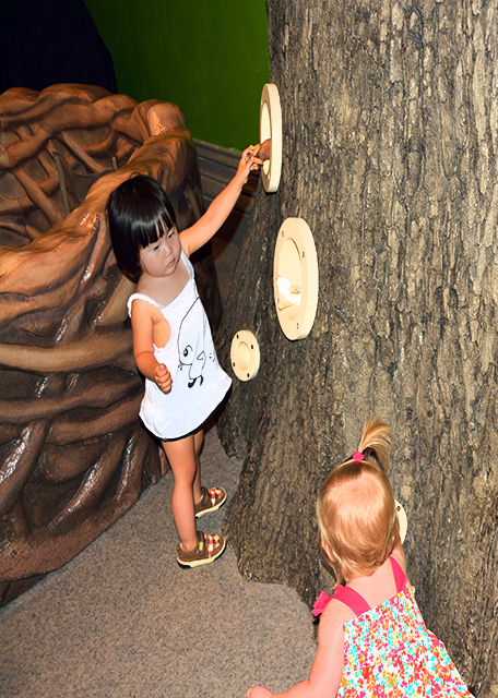 1762618184485219.jpg 2013-07-14_Treehouse 树屋0001.JPG