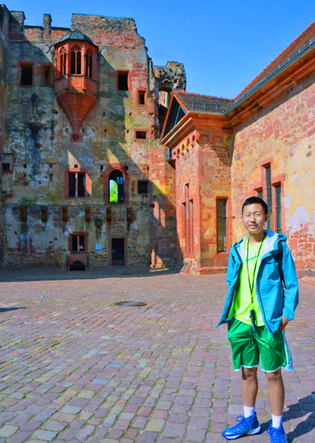 1774192831595005.jpg 2017-08-20_Heidelberg Castle_Ottheinrich Wing-40001.JPG