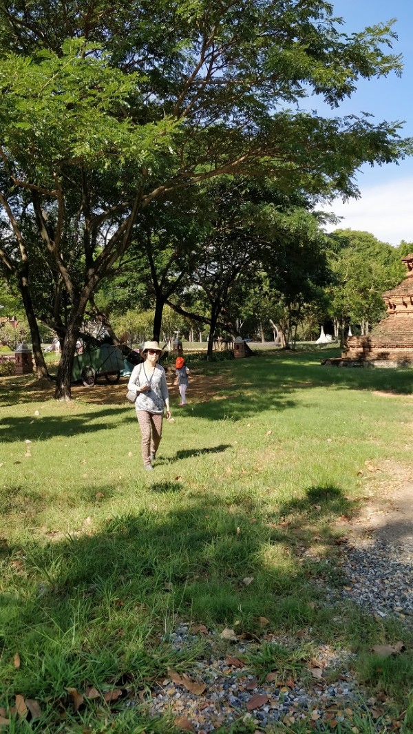 1598032880951306.jpg IMG_20190102_101057.jpg