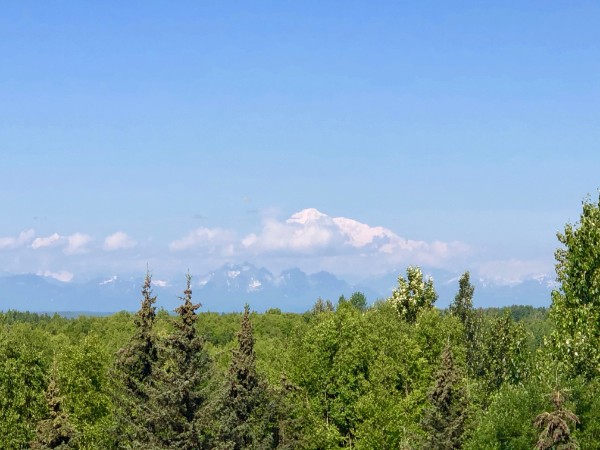 Denali-view - 1.jpg