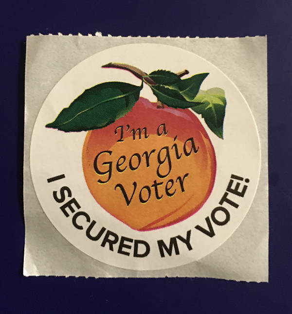 Secured my vote.jpg