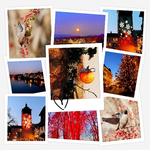 0C3EC31F-88DC-4F6A-9D39-534CF7A2463E.jpeg