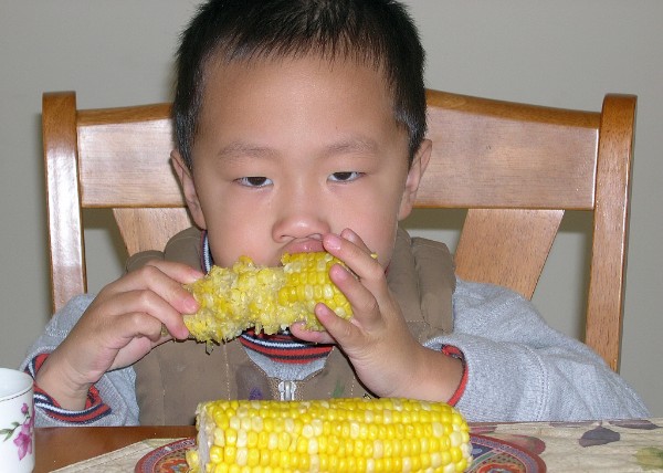 11-04-06_ Corn.JPG