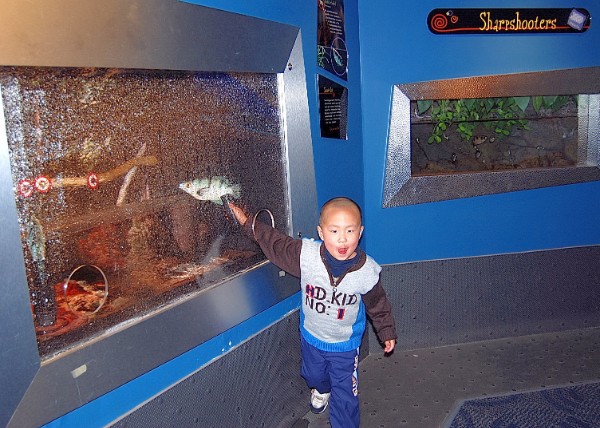 03-17-07_ Shoot Fish @ Adventure Aquarium.JPG